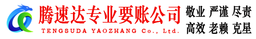 雷州清债公司